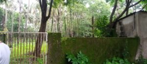 Land for Sale in Assagao Goa
